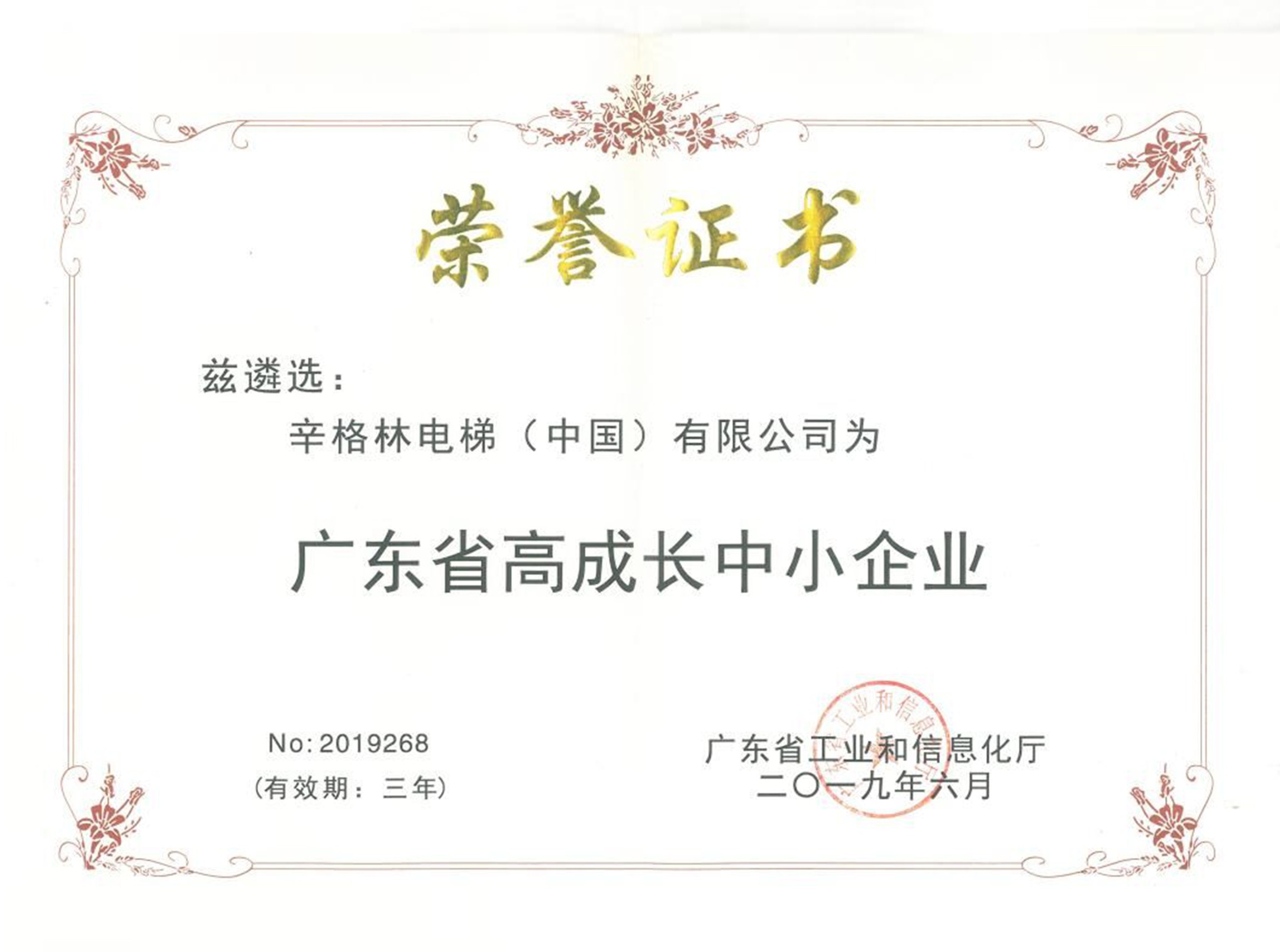 广东省高成长中小企业荣誉证书
