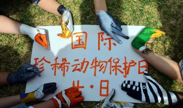 今天，我们来谈谈关于“保护”的问题