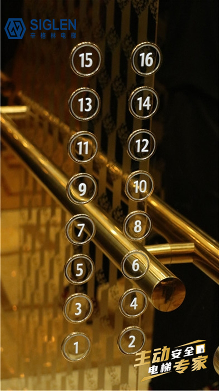 河南家用电梯品牌排行榜，辛格林电梯教你三步选出好品牌！