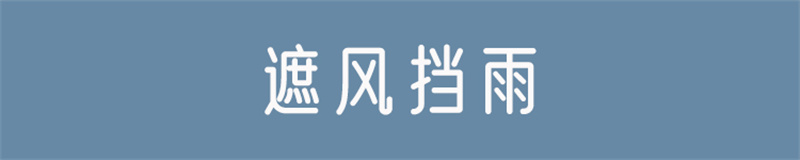 遮风挡雨.jpg